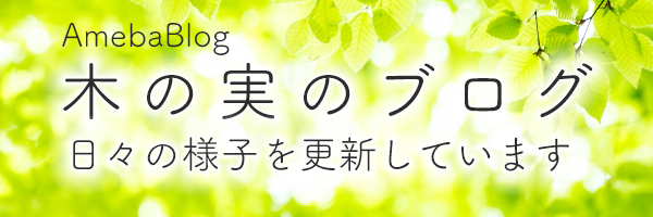 木の実blog