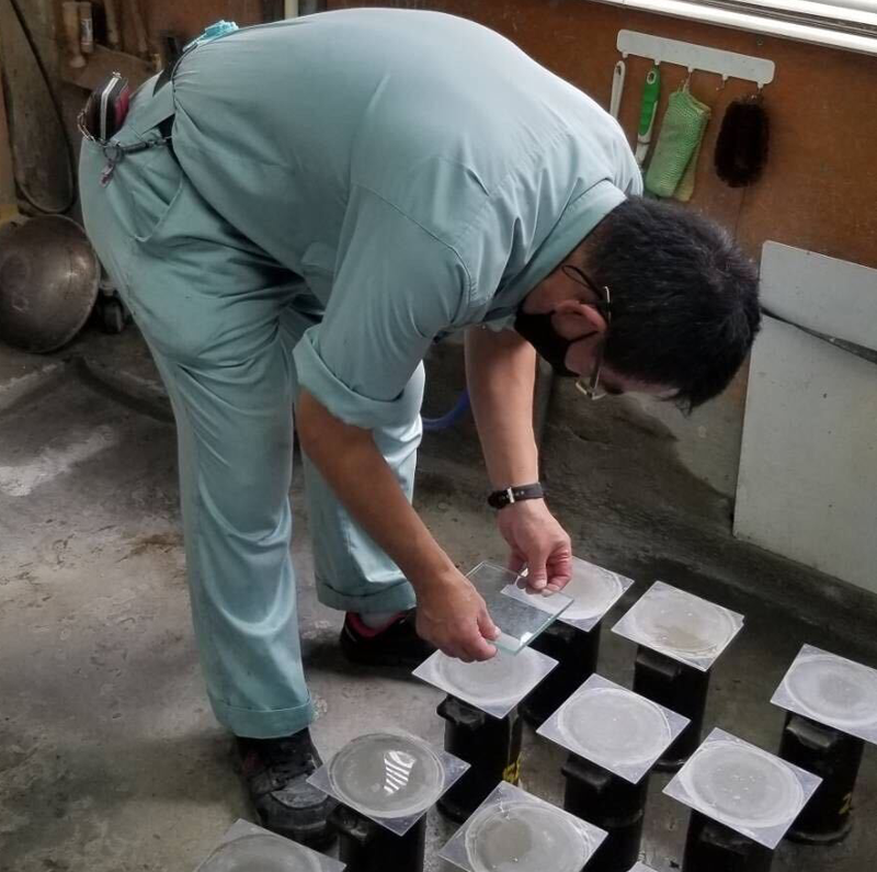 木の実就労定着支援事業